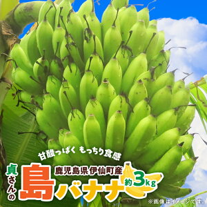 yӂ邳Ɣ[Łz傳̓oii3kg_ oii oii 썑 t[c ʕ  lC  y1404057z