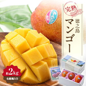 yӂ邳Ɣ[Łzys\!2026N7菇z ʎ p }S[ 2kg(ϔ)yzsnFzy1425293z