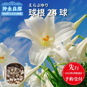 球根 ゆりの人気商品 通販 価格比較 価格 Com