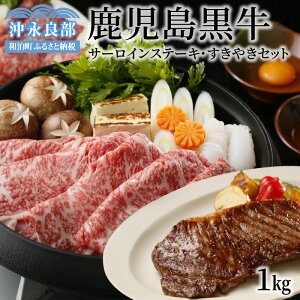 yӂ邳Ɣ[Łz T[C Xe[L ₫ Zbg v1kg Xe[L 200g×2 u[XXCX 300g [XXCX 300g XCX ؂ {̘a uh a 