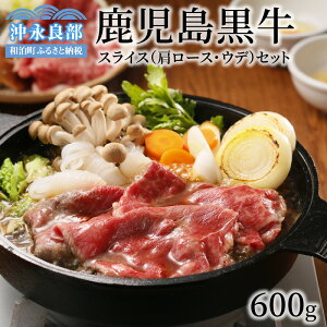 yӂ邳Ɣ[Łz XCX [X Ef Zbg v600g 2 e300g  pbN ؂  ōN 5 uh a  r[t  Mtg j 蕨 