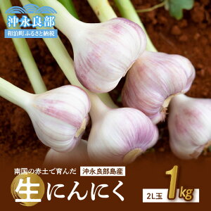 yӂ邳Ɣ[Łzy2026Ns\ Ԍzɂɂ 2L 1kg 12 ` 14 _ƌI 썑̐ԓyň 3{ ` 4{ ɂɂ    Md iǕ Gi Z ܂ 