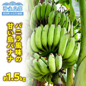 yӂ邳Ɣ[Łz oj  Âoii 1.5kg y2025N6`2025N11{z ACXN[ ͔|Ԓ _  sgp oii oii t[c ʕ 썑   Â i