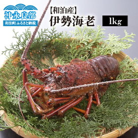 楽天市場 ふるさと納税 伊勢海老の通販 楽天市場 ふるさと納税 伊勢海老の通販
