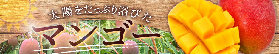 マンゴー特集