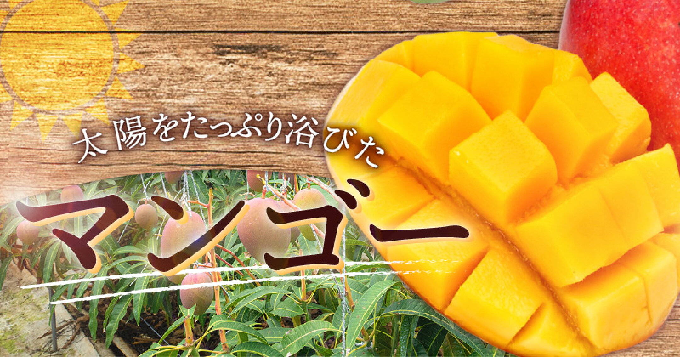 太陽をたっぷり浴びたマンゴー