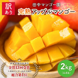 yӂ邳Ɣ[Łzy2026Ns\z 󂠂 n}S[ 2kg 4 ` 8 ƒp 킯 KiO c}S[    \ }S[ Abv}S[ ʕ t[c Y 