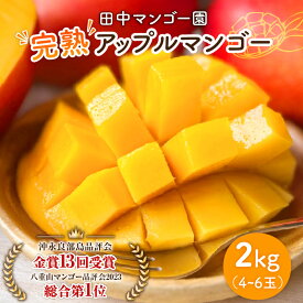 【ふるさと納税】【2027年先行予約】＜選べる容量＞ 完熟 マンゴー 1kg or 2kg 2玉 ～ 6玉 沖永良部 数量 期間 限定 予約 アップルマンゴー 果物 フルーツ 国産 濃厚 甘い とろける 香り 田中マンゴー園 鹿児島 和泊町 おすすめ ランキング プレゼント ギフト
