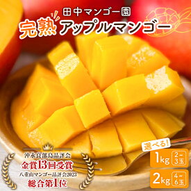 【ふるさと納税】【2026年先行予約】＜選べる＞ 完熟マンゴー 1kg or 2kg 2玉 ～ 6玉 沖永良部 数量 期間 限定 予約 マンゴー アップルマンゴー 果物 フルーツ 国産 完熟 濃厚 甘い とろける 香り 田中マンゴー園 鹿児島 和泊町 おすすめ ランキング プレゼント ギフト