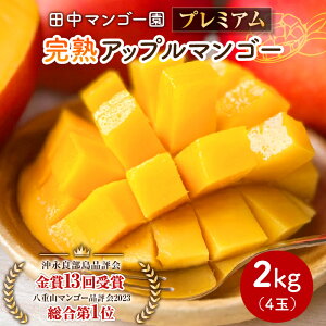 yӂ邳Ɣ[Łzy2026Ns\zIׂ遄 v~A n}S[ 1kg or 2kg 2 or 4 c}S[    \ }S[ Abv}S[ ʕ t[c Y n x15
