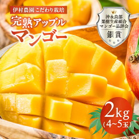 【ふるさと納税】【2027年先行予約】＜選べる容量＞ 完熟 アップルマンゴー 1kg 〜 2kg 2玉 〜 5玉 伊村農園 こだわり栽培 沖永良部産 数量 期間 限定 予約 マンゴー 果物 フルーツ 国産 鹿児島 和泊町 沖永良部 おすすめ ランキング プレゼント ギフト
