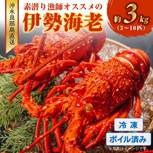 yӂ邳Ɣ[ŁzIׂ遄 {Cς Ⓚ ɐCV 500g ` 3kg iǕ  f苙t IXX  CV CZGr  {C 䥂 Y VN Nx  Yn X`  Ă