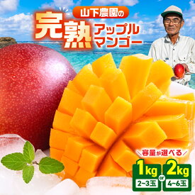 【ふるさと納税】【2026年先行予約】＜選べる＞ 甘い香りの贈り物 山下農園 の 完熟アップルマンゴー 1kg or 2kg マンゴー アップルマンゴー 完熟 芒果 先行予約 期間限定 果物 フルーツ 果実 甘い デザート 贈答用 鹿児島 和泊町 おすすめ ランキング プレゼント ギフト