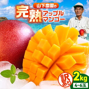 �y�ӂ邳�Ɣ[�Łz�y2026�N��s�\��z�y�󂠂�z���I�ׂ遄 �Â�����̑��蕨 �R���_�� �� ���n�A�b�v���}���S�[ 1kg or 2kg �}���S�[ �A�b�v���}���S�[ ���n 䊉� ��s�\�� ���Ԍ��� �ʕ� �t��