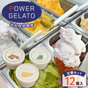 yӂ邳Ɣ[ŁzIׂ遄 POWER GELATO iǕY  Zbg 6 or 12 WF[g ACX fU[g Xَq َq  񂷂 oj V}K   SDGs l  Â