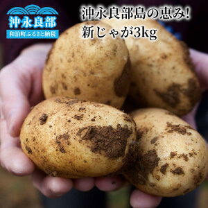 yӂ邳Ɣ[Łzy2026Ns\z iǕ̌b VႪ 3kg y2{`4{z Ⴊ |eg s\ ʌ  VN~l Y iǕ ̌bݍH[ To[ 
