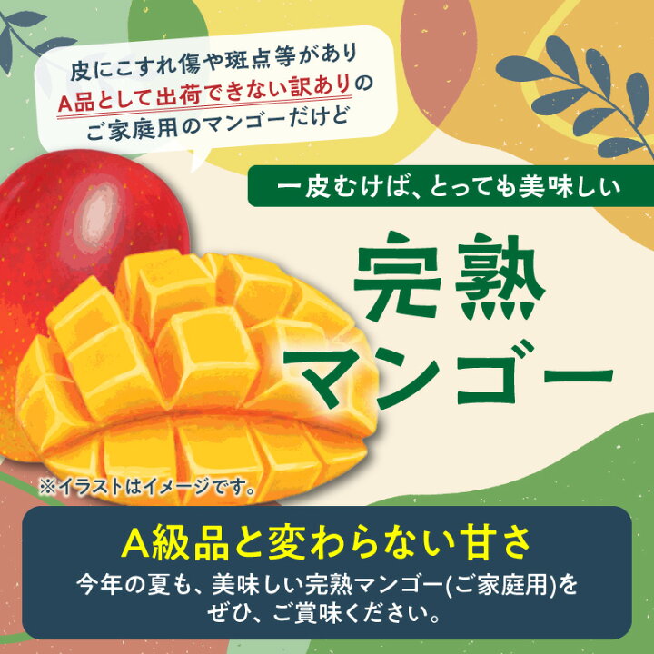 楽天市場】【ふるさと納税】【2025年先行予約】 安くて美味しい 完熟 