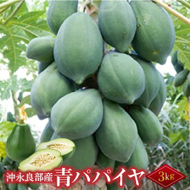 【ふるさと納税】酵素たっぷり「青パパイヤ」3kg