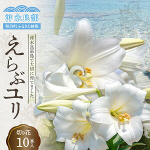 �y�ӂ邳�Ɣ[�Łz ���� �؂�� 10�{�� ���i�Ǖ��� ��؂Ɉ�Ă�ꂽ �� ����ԃ����؂�� ����ԕS�� �Ϗܗp ������ �C���e���A ������� ���킢�� �t�����[ �A�����W �t�����[�A�����W����