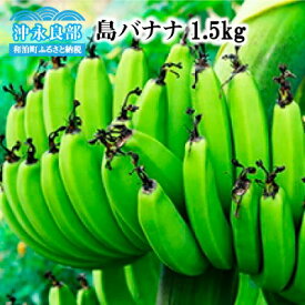 楽天市場 島バナナ バナナ フルーツ 果物 食品の通販
