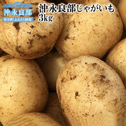 記事番号:34421/アイテムID:155692の画像