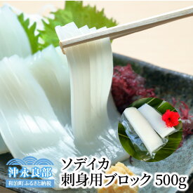 楽天市場 ソデイカ 冷凍 刺身の通販