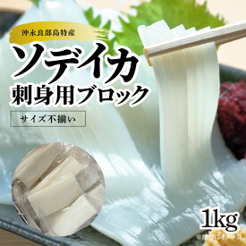 【ふるさと納税】【サイズ不揃い】ソデイカ・刺身用ブロック　1Kg/沖永良部島特産