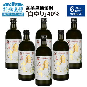 yӂ邳Ɣ[ŁzĒ  40x 720ml × 6{ Zbg ϔ Mtg 蕨   AR[ Î MƓȕ RN u₩Ȍ  Ē  ƈ  n