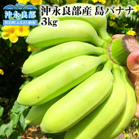 楽天市場 バナナ 産地 都道府県 鹿児島 フルーツ 果物 食品 の通販