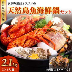 yӂ邳Ɣ[ŁzVR CN Zbg 2.1L 3`4lO ɐCV ATqKj e 1kg  100g iǕ f苙t IXX f苙 VN ⓀH O  Jj Gr C