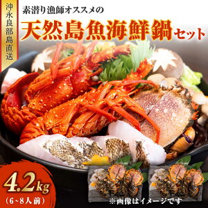 yӂ邳Ɣ[ŁzVR CN Zbg 4.2L 6`8lO ɐCV ATqKj e 2kg  200g iǕ f苙t IXX f苙 VN ⓀH O  Jj Gr C