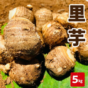 yӂ邳Ɣ[Łzy2026Ns\zeʑIׂ遄 VN   ΐ쑁 2kg or 5kg 6͂  xW^u xW^A ~lLx s\ st \   i