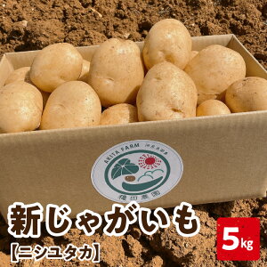 yӂ邳Ɣ[Łzy2026Ns\z͂Iׂ遄 VႪ jV^J 5kg 2`4͂ Ⴊ  |eg  ~lLx   st iǕY x肽 