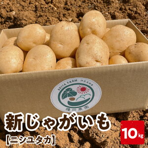 yӂ邳Ɣ[Łzy2026Ns\z͂Iׂ遄 VႪ jV^J 10kg 2`3͂ Ⴊ  |eg  ~lLx   st iǕY x肽 