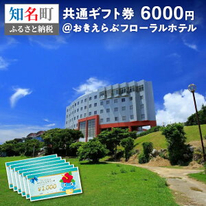 yӂ邳Ɣ[Łz ʃMtg6000~ԃt[ze