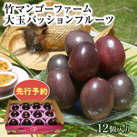【ふるさと納税】竹マンゴーファーム 大玉パッションフルーツ(12個入り)