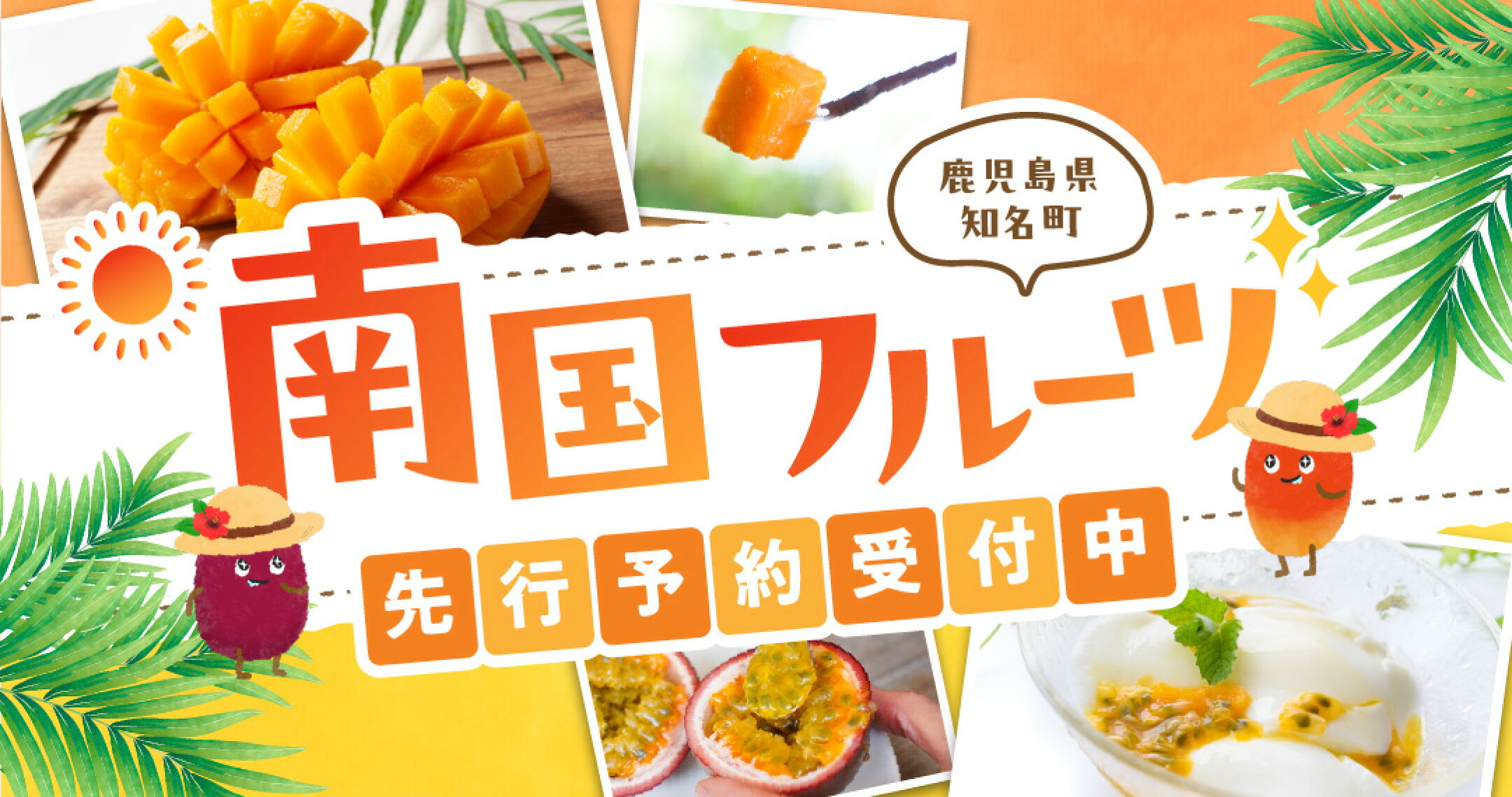 南国フルーツ先行予約受付中！