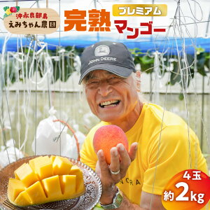 yӂ邳Ɣ[Łzy2026Ns\zIׂ遄 v~A n}S[ 1kg or 2kg  2 or 4 ݂_ }S[ t[c ʕ ʎ s\    n 썑 ϔ 