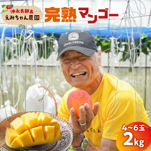 yӂ邳Ɣ[Łzy2026Ns\zIׂ遄 n}S[ 1kg or 2kg 2 ` 6 ݂_ }S[ t[c ʕ ʎ s\    n 썑  Â 炩 ϔ 