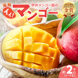 【ふるさと納税】【2026年先行予約】＜選べる＞ 完熟マンゴー 1kg or 2kg 伊井マンゴー園のイイ！マンゴー マンゴー フルーツ 果物 果実 先行予約 数量 期間 限定 完熟 南国 化粧箱 伊井マンゴー園 鹿児島 知名町 沖永良部島 沖永良部 おすすめ ランキング プレゼント ギフト