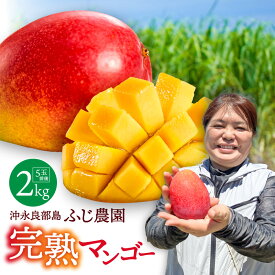 【ふるさと納税】【2026年先行予約】＜選べる＞ 完熟マンゴー 1kg or 2kg ふじ農園 マンゴー 果物 フルーツ 果実 期間 数量 限定 先行予約 無加温栽培 オリジナル堆肥 贅沢 冷蔵 ふるさと納税 鹿児島 知名町 沖永良部島 沖永良部 おすすめ ランキング プレゼント ギフト