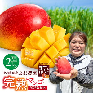yӂ邳Ɣ[Łzy2026Ns\z 󂠂 n}S[2kg ̂܂܁I ӂ_ 킯 KiO }S[ ʕ t[c ʎ s\    ƒp ͔| ґ 