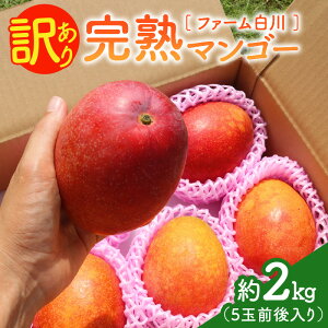 yӂ邳Ɣ[Łzy2026Ns\z n}S[ 󂠂 2kg t@[ 킯  KiO ʕ t[c }S[ n Hׂ   s\ 썑 ʎ ӂ邳Ɣ[  