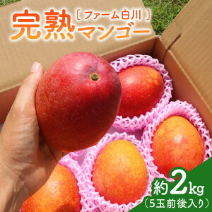 yӂ邳Ɣ[Łzy2026Ns\zIׂ遄 n}S[ 1kg or 2kg t@[ ʕ t[c }S[ n Hׂ    s\ 썑 ʎ ӂ邳Ɣ[  m 