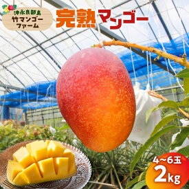 【ふるさと納税】【2026年先行予約】＜選べる＞ 完熟マンゴー 1kg or 2kg 2個 ～ 6個 竹マンゴーファーム マンゴー フルーツ 果物 果実 先行予約 数量 期間 限定 完熟 南国 化粧箱 甘い 採れたて 無加温 鹿児島 知名町 沖永良部 おすすめ ランキング プレゼント ギフト
