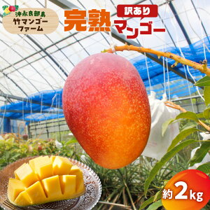 yӂ邳Ɣ[Łzy2026Ns\zIׂ遄 󂠂 n}S[ 1kg or 2kg ƒp 킯 KiO |}S[t@[ }S[ t[c ʕ ʎ \    n 썑 