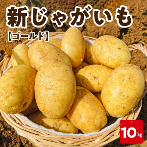 yӂ邳Ɣ[Łzy2026Ns\zIׂeʁ VႪ S[h 5kg or 10kg 3͂ Ⴊ VႪ  |eg   ~l ԓy   st  VN 