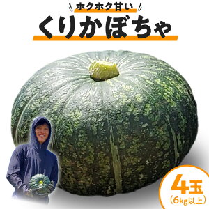 yӂ邳Ɣ[Łzy2026Ns\zIׂ遄 肩ڂ 2 or 4 ڂ Z Iڂ  A Md    { lC َq Â pvL X[v  i