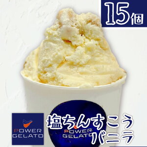 �y�ӂ邳�Ɣ[�Łz���I�ׂ�e�ʁ� POWER GELATO �����񂷂����o�j�� 90ml × 5���� �` 15���� �W�F���[�g �A�C�X ���َq �f�U�[�g �X�C�[�c �����񂷂��� �o�j�� ���f�� ������萻�@ ��Â��� S