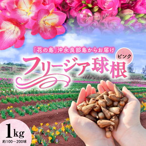 yӂ邳Ɣ[ŁzIׂ遄t[WA  sN 500g 1kg    F A Y LC ꂢ m_щ  m  LO v[g